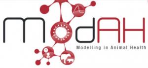 Workshop MODAH